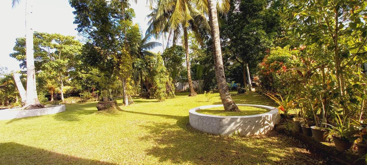 Bat Tree Cottages Agoho Exterior photo